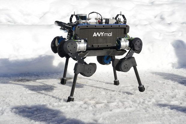 ANYmal Roboter auf Schnee