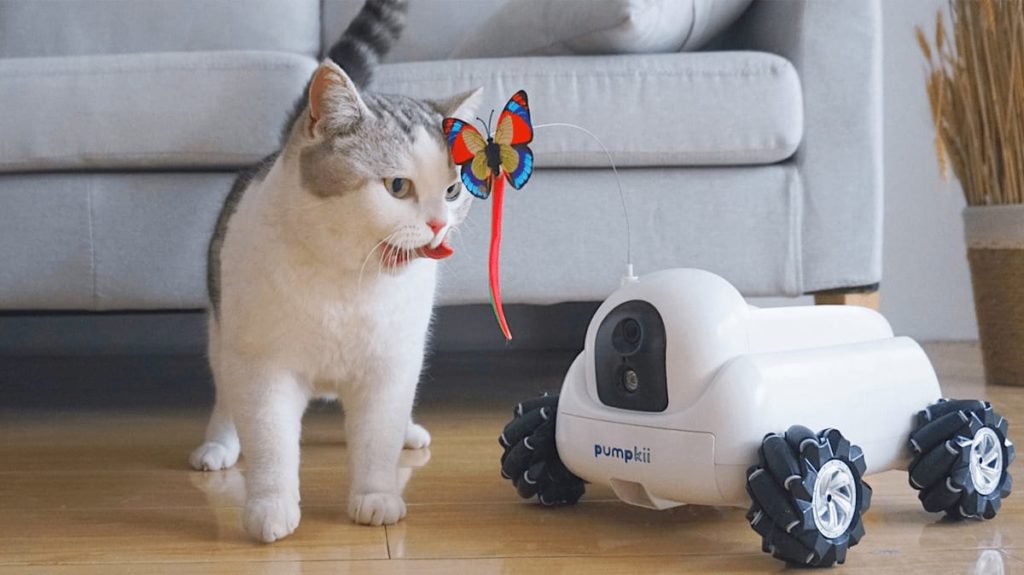 Pumpkii Roboter für Haustiere