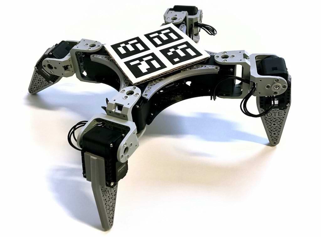 RealAnt V1 Roboter von OTE Robotics