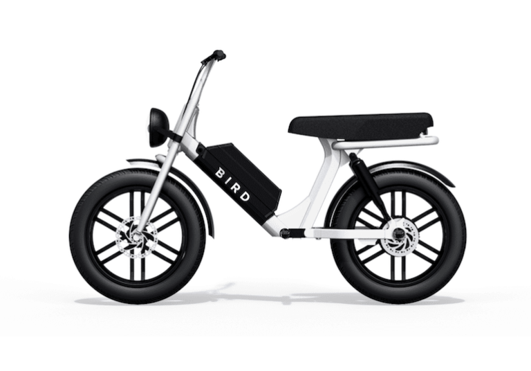 Bird Cruiser E-Bike – unterwegs auf 20-Zoll dicken Reifen