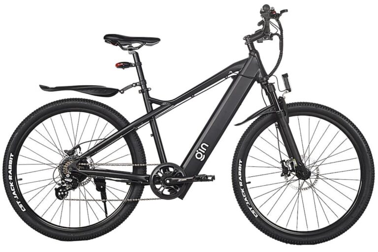 GIN X: Hybrid-E-Bike mit 250 W starkem Antrieb