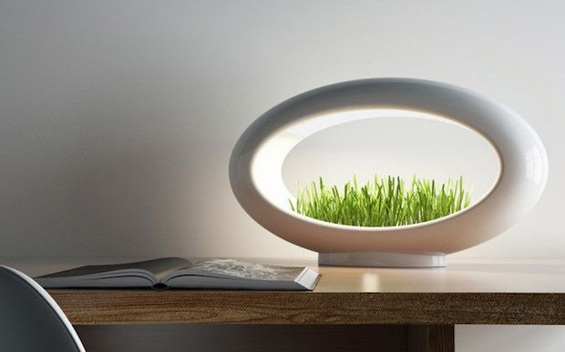 Grasslamp – Der Garten auf dem Schreibtisch