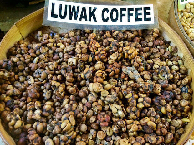 Kopi Luwak Kaffee – Zubereitung, Preis und Informationen
