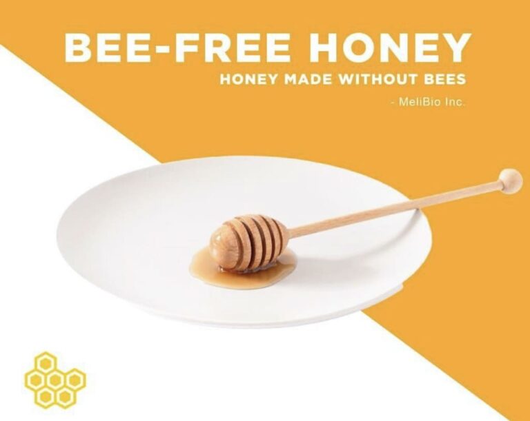 MeliBio: echter veganer Honig, der die Bienen rettet