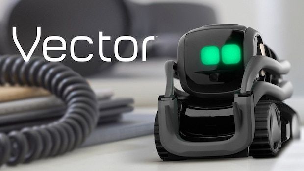 Vector Roboter von Anki – Roboterart entwickelt sich weiter